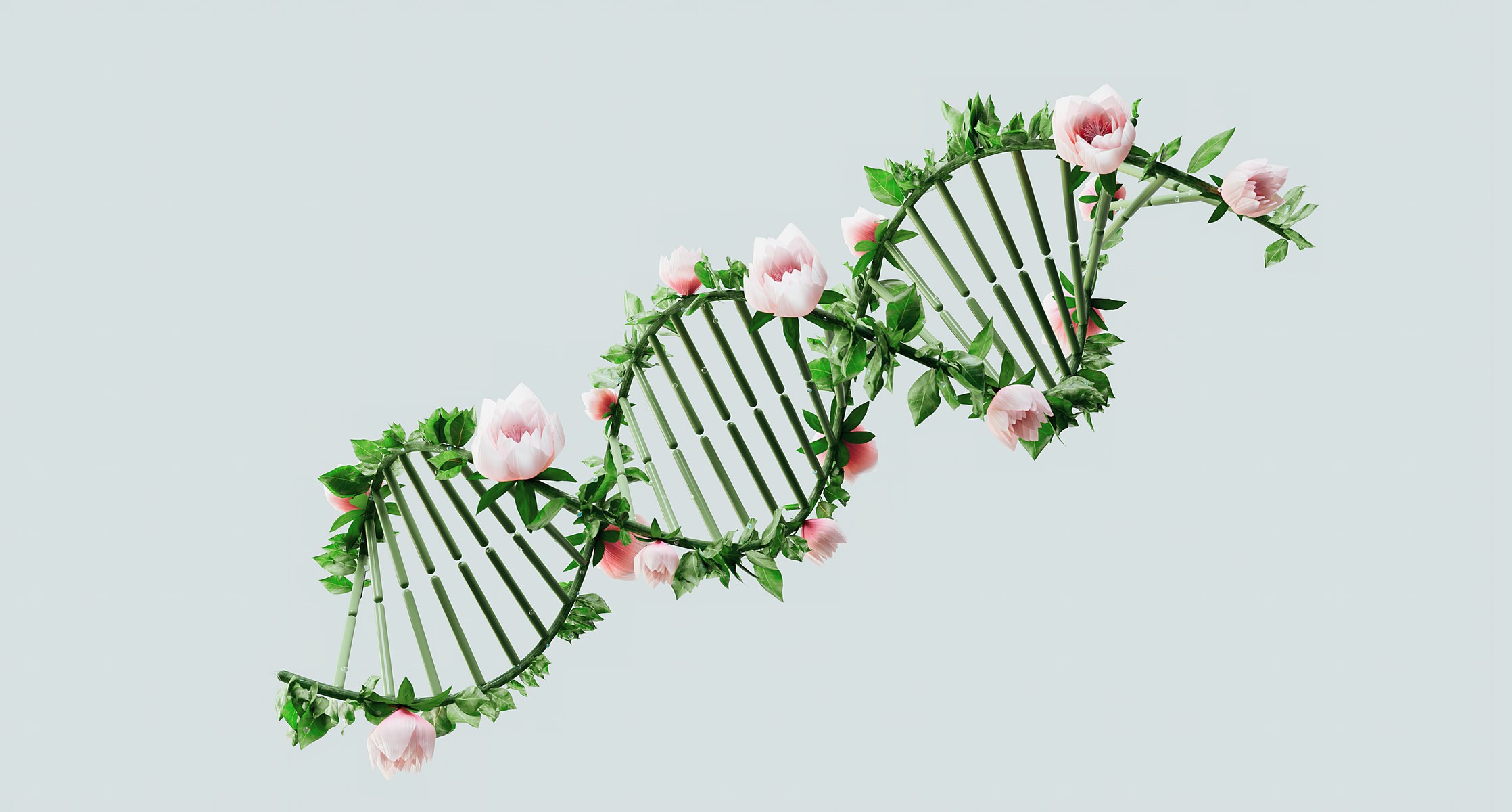 Modell einer DNA-Doppelhelix, umrankt von grünen Blättern und rosa Blüten