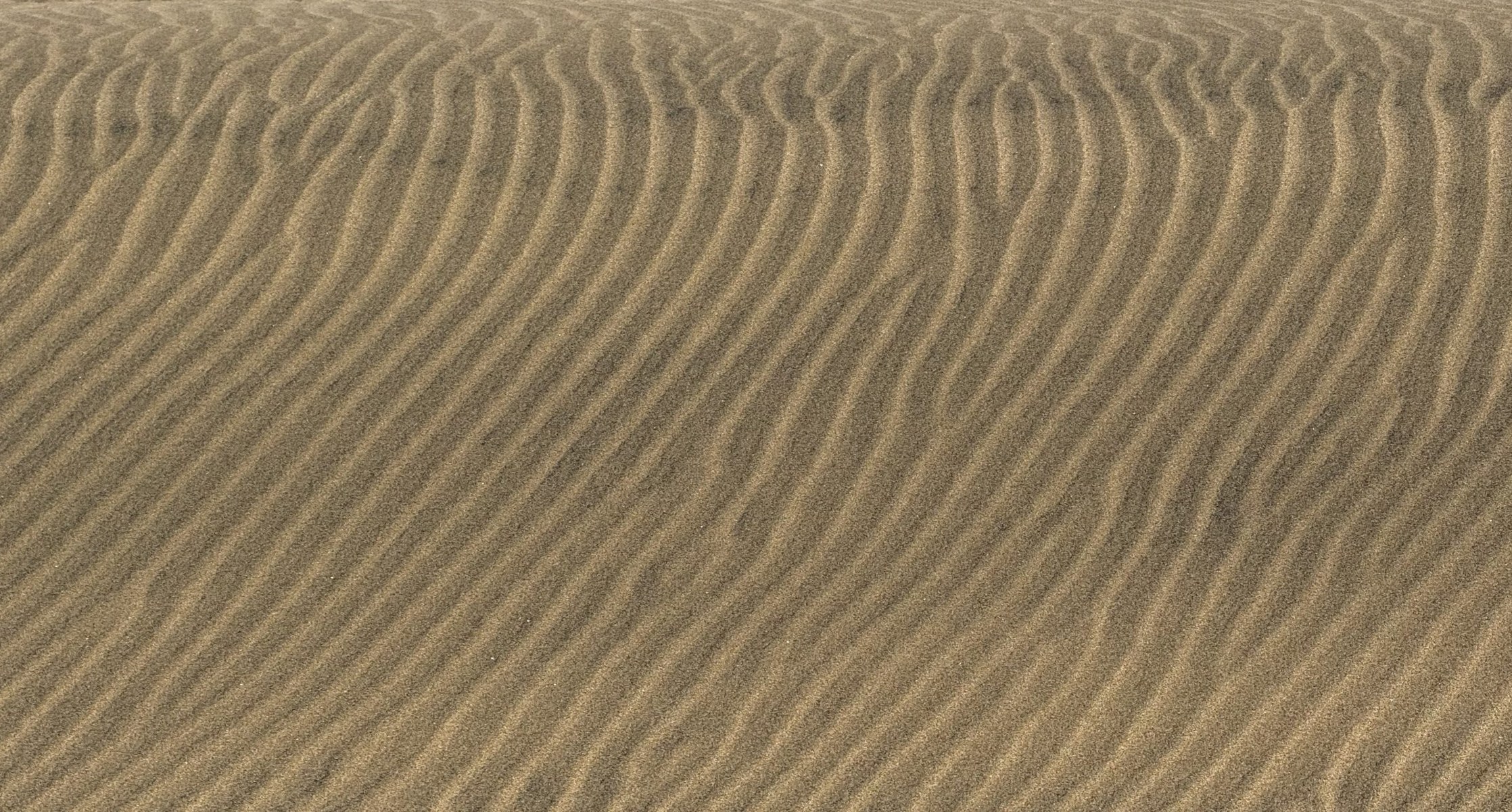 Gleichmäßige Wellenstruktur im Sand einer Düne, formatfüllend